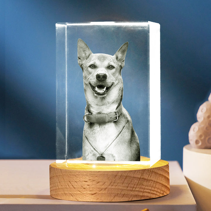 Custom Pet 3d Crystal Photo Cube With Dog Portraits - OARSE