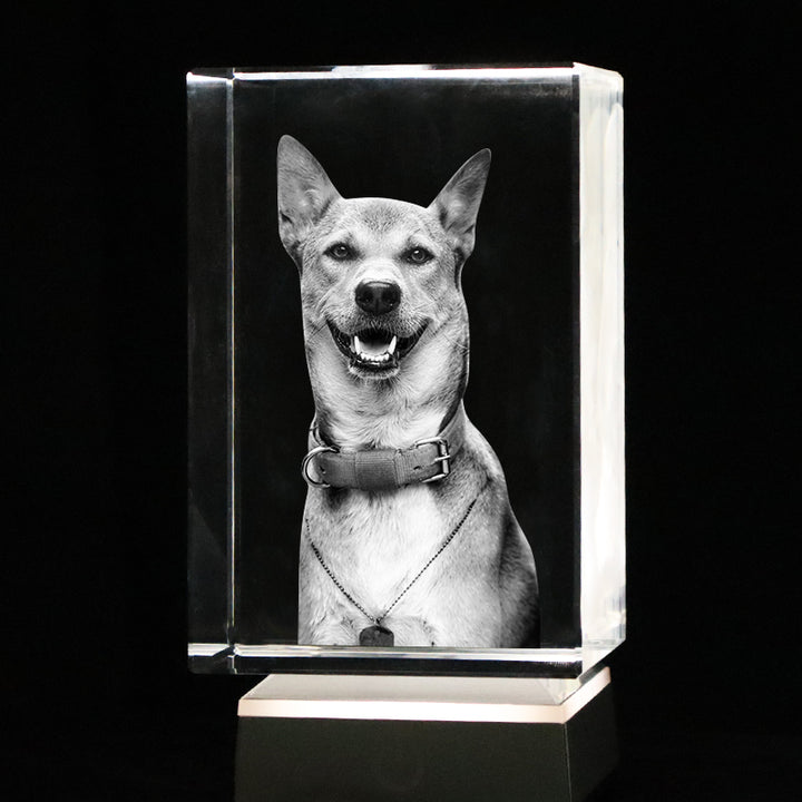Custom 3D Crystal Photo Frame with Dog Portraits Personalized Pet Memorial Gift - OARSE