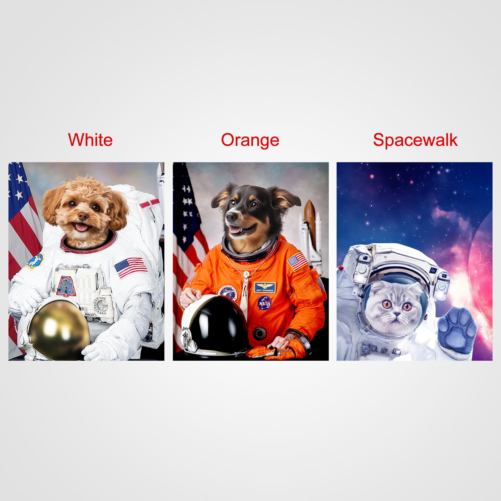 Astronaut Personalized Desktop Pet Standing Canva - OARSE