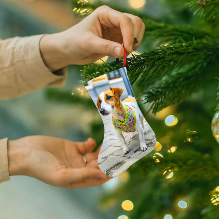 Custom Made Christmas Stockings with Pet Photo - OARSE