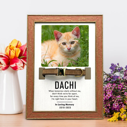 Custom Pet Collar Frame with Photo Dog Remembrance Picture Frame for Deceased Dog - OARSE