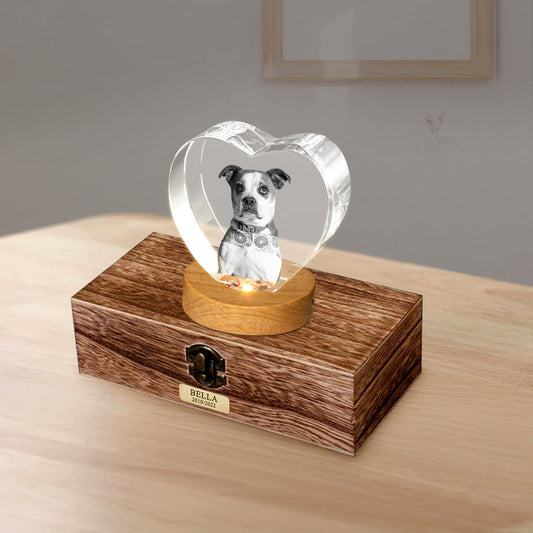 Custom Pet Urn Set with 3D Crystal Personalized Dog & Cat Urns for Ashes - OARSE