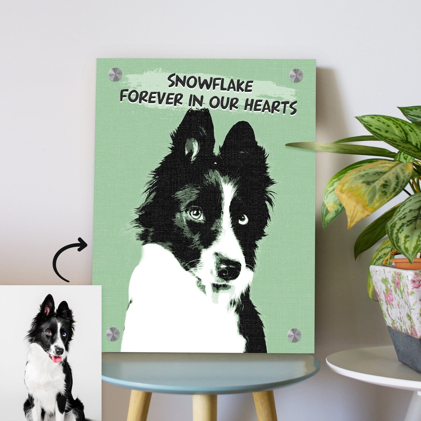 Custom Pop Pet Art Portrait Canvas Prints for Pet Memorial Gift - OARSE