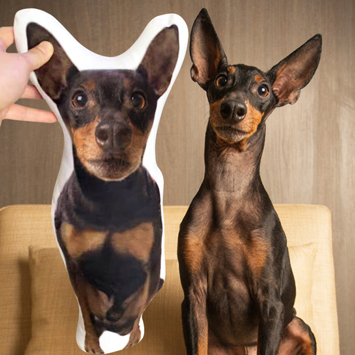 Custom Shaped Pet Pillow Made from Photo Look Like Your Beloved Pet - OARSE