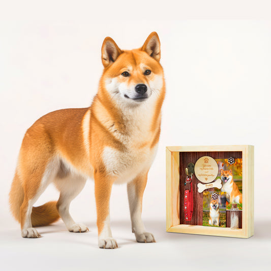 Custom Pet Memorial Shadow Box Frame with Name for Dog Memories - OARSE