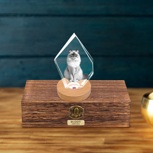 Customized Pet Ashes Urn Box with 3d Photo Crystal for Dog Memorial Gift - OARSE