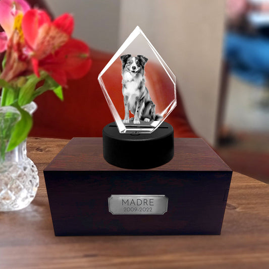 Personalized Pet Cremation Urn Set with 3D Crystal Photo for Dog Keepsakes - OARSE