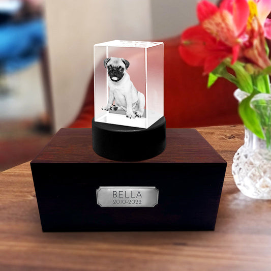 Personalized Pet Memorial Keepsake Cremation Urn with 3D Photo Crystal for Dogs & Cats - OARSE