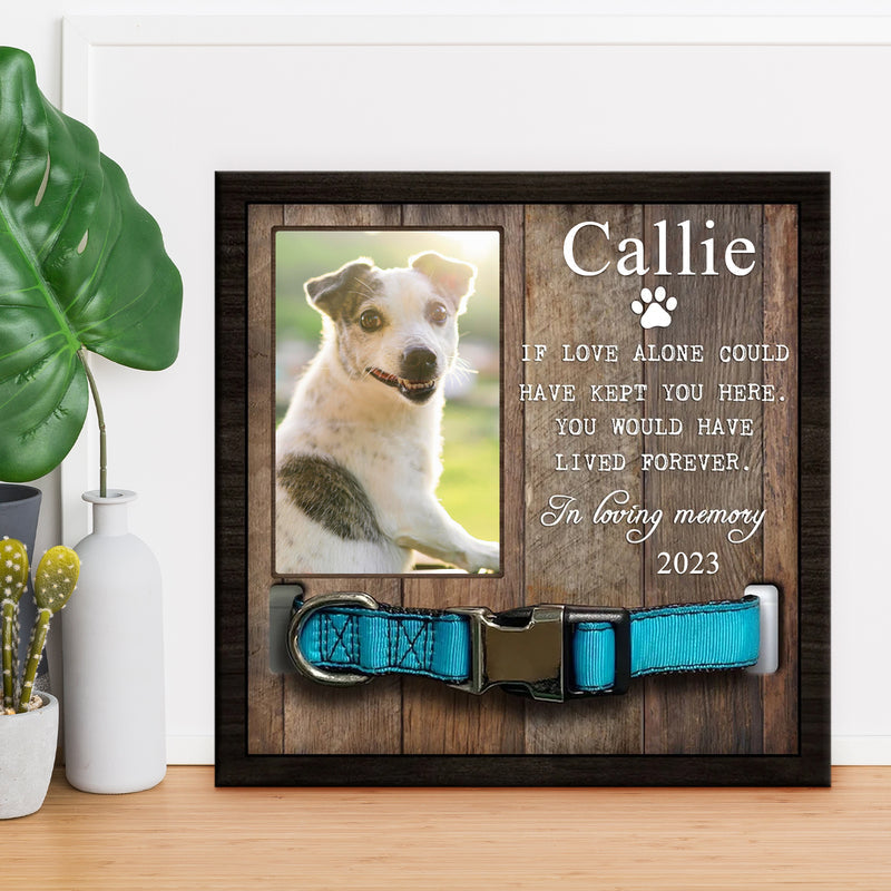 Pet Memorial Frame with Collar Personalized Dog Remembrance Gift - OARSE