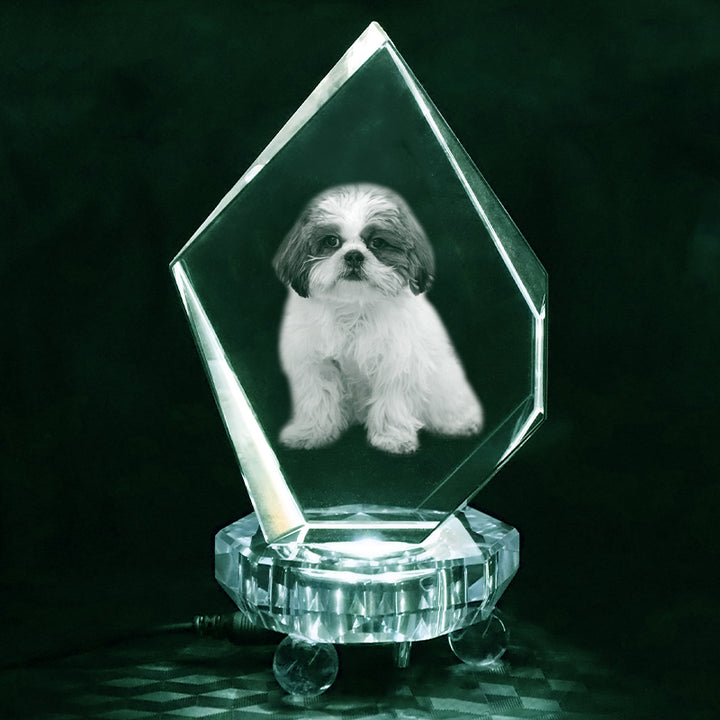 Personalized Pet 3d Crystal Photo Customized Prestige 3d Glass Picture Frames For Gift - OARSE