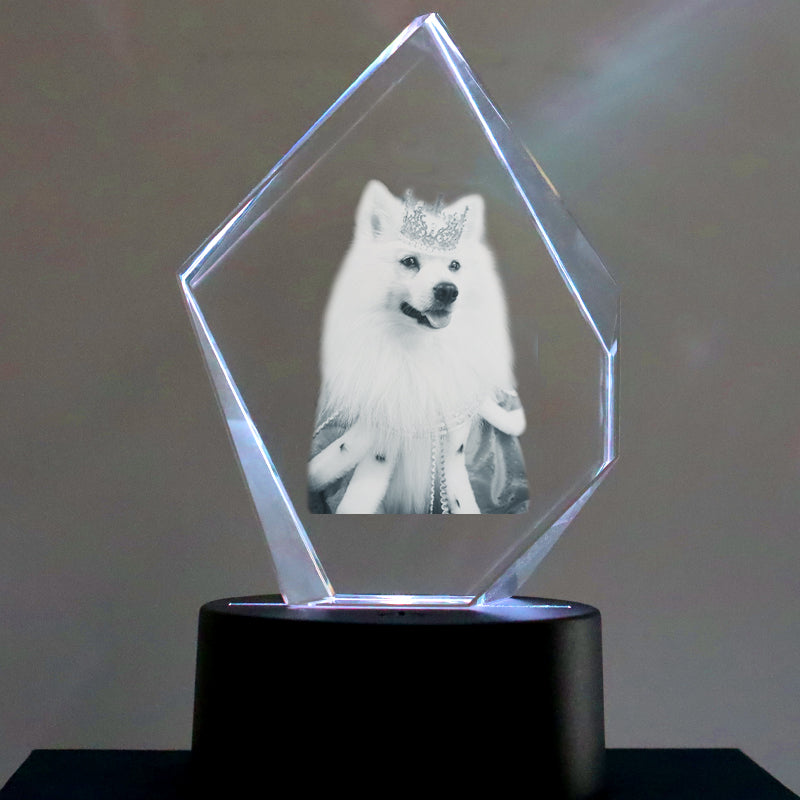 Personalized Pet 3d Crystal Photo Customized Prestige 3d Glass Picture Frames For Gift - OARSE