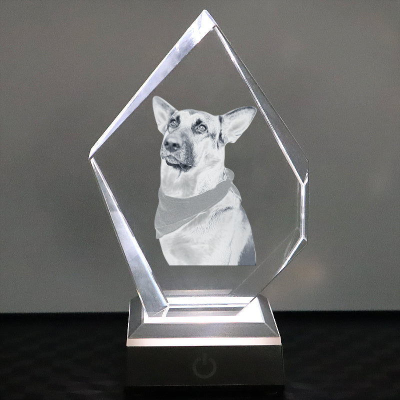 Personalized Pet 3d Crystal Photo Customized Prestige 3d Glass Picture Frames For Gift - OARSE