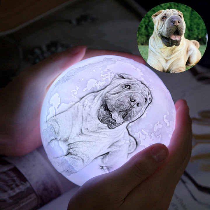 Personalized Pet Photo Engraved Planet Moon Lamp - Oarse