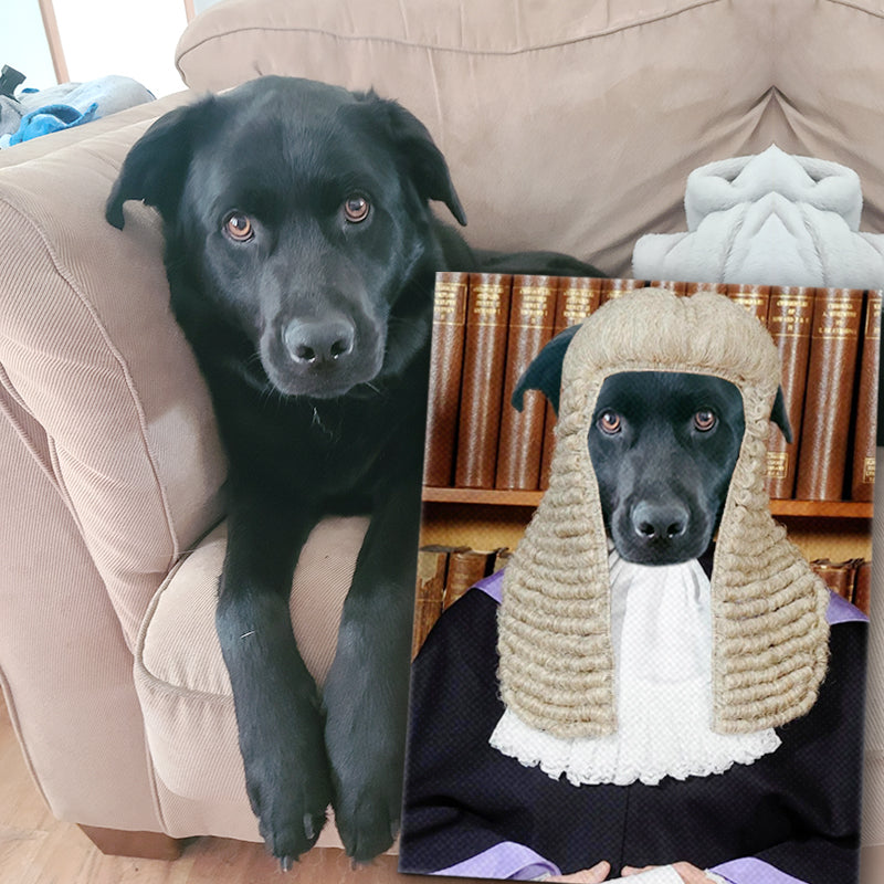 Personalized The Judge Pet Portrait - Oarse