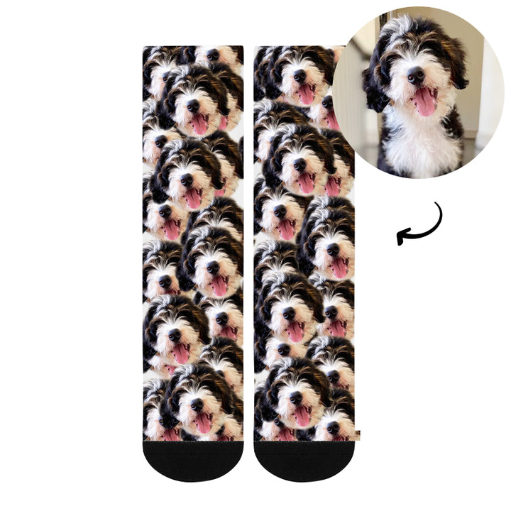 Custom Funny Multiple Pet Faces Socks - Oarse