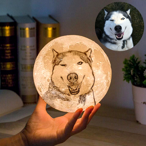 Custom 3D Pet Photo Engraved Moon Lamp 16 Colors - Oarse