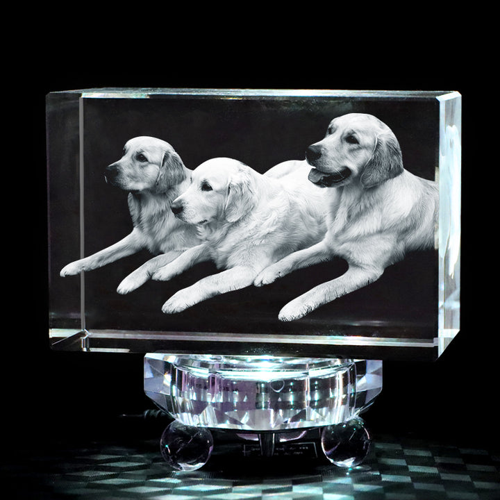 Custom 3D Crystal Photo Frame with Dog Portraits Personalized Pet Memorial Gift - OARSE