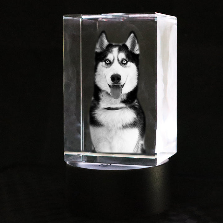 Custom 3D Crystal Photo Frame with Dog Portraits Personalized Pet Memorial Gift - OARSE