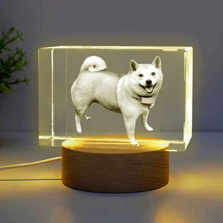 Custom 3D Crystal Photo Frame with Dog Portraits Personalized Pet Memorial Gift - OARSE