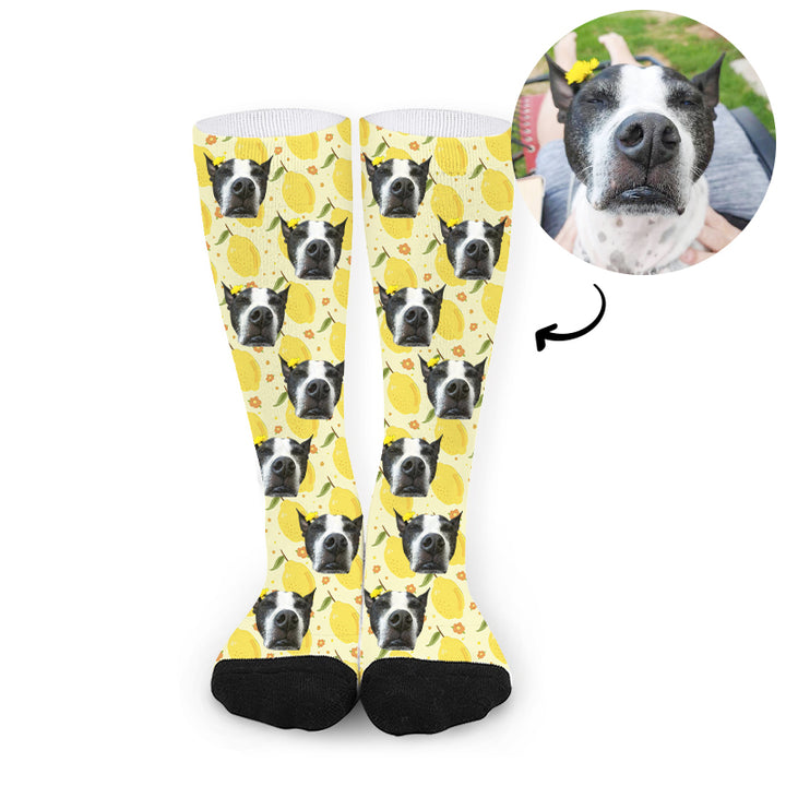 Custom Pet Photo Socks with Pictures of Your Dog Face on Socks - OARSE