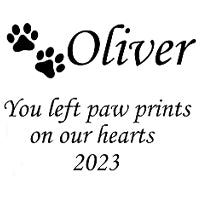 Personalized Dog Memorial Urn for Pet Ashes Custom Engraved Cremation Urns with Name - OARSE
