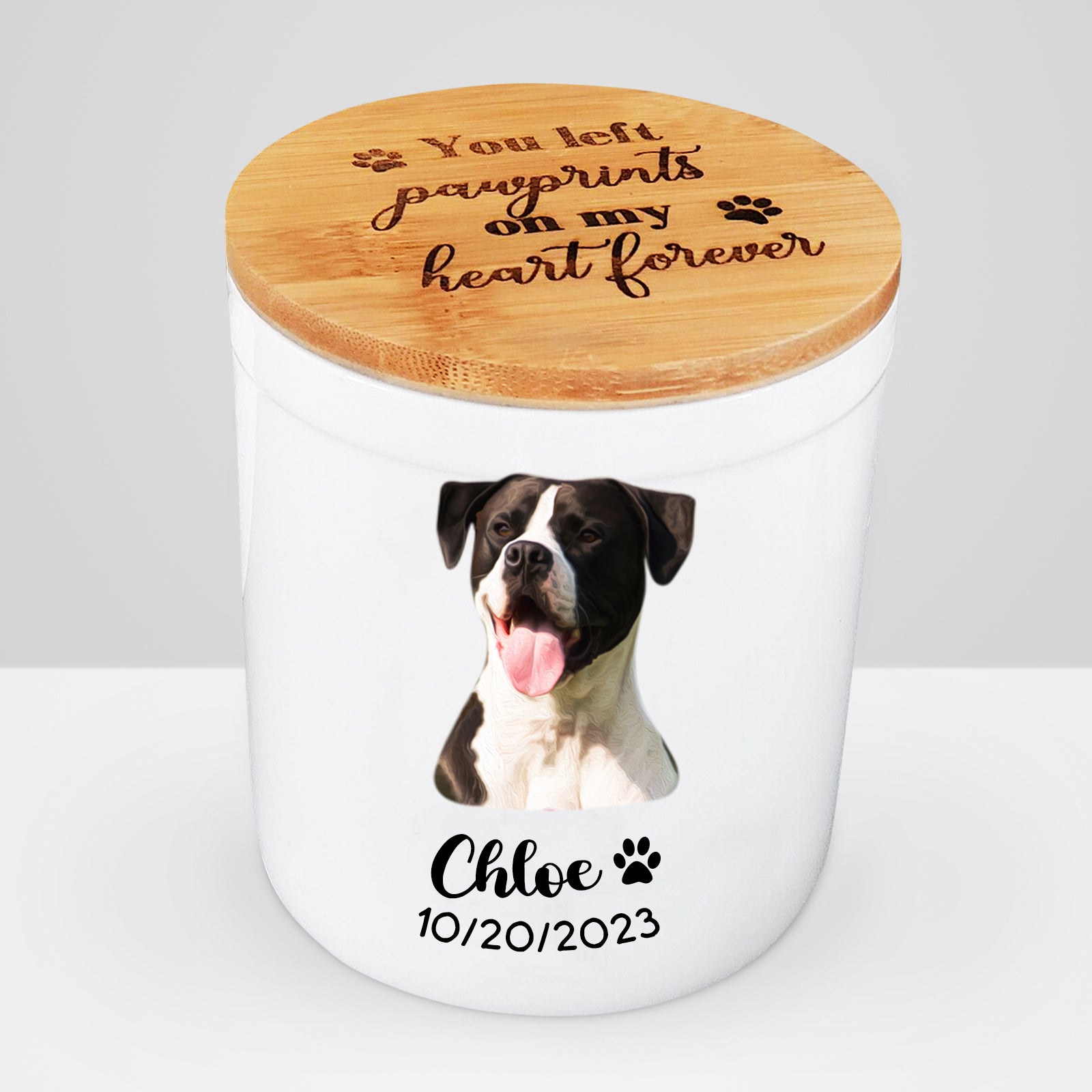 Custom Ceramic Pet Memorial Urns for Dog Ashes - OARSE