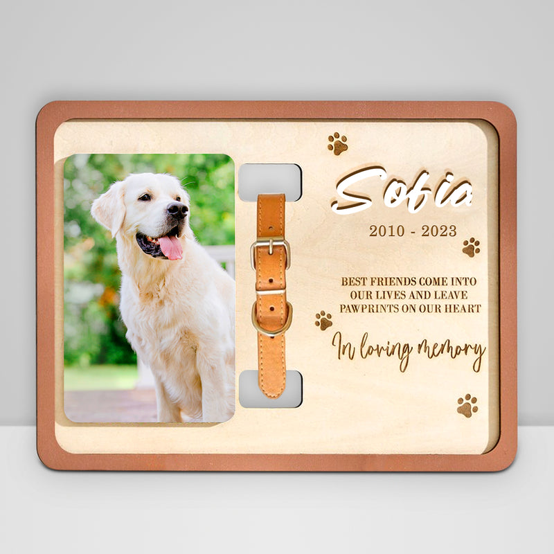 Custom Dog Remembrance Picture Frame with Collar Personalized Cat Memorial Frame For Pet Lovers - OARSE