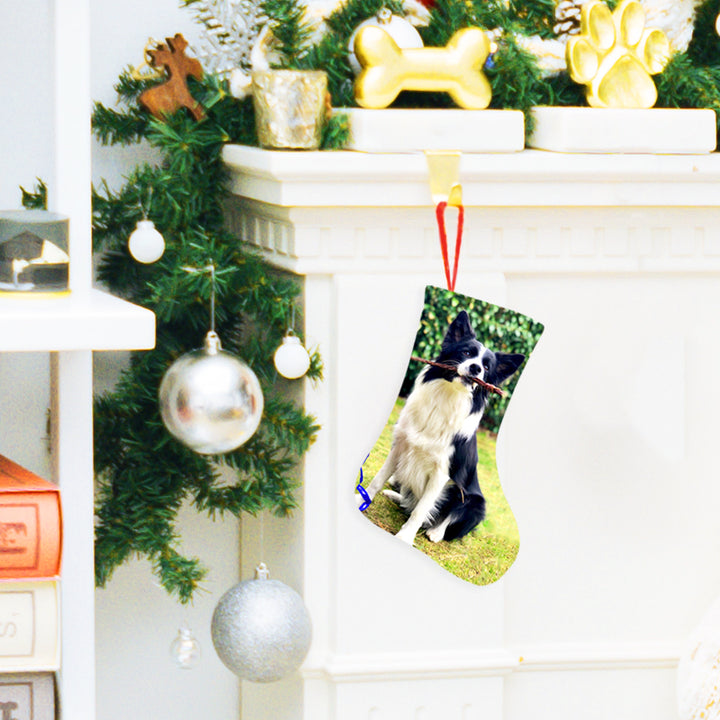 Custom Made Christmas Stockings with Pet Photo - OARSE