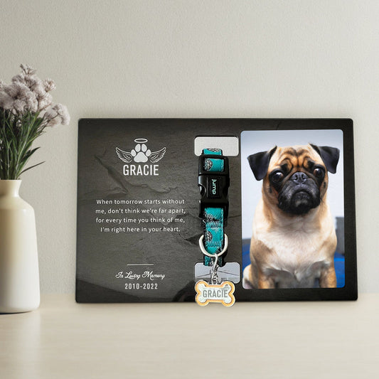 Custom Pet Collar Frame Personalized Dog Memorial Frame with Paw Print - OARSE
