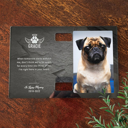 Custom Pet Collar Frame Personalized Dog Memorial Frame with Paw Print - OARSE