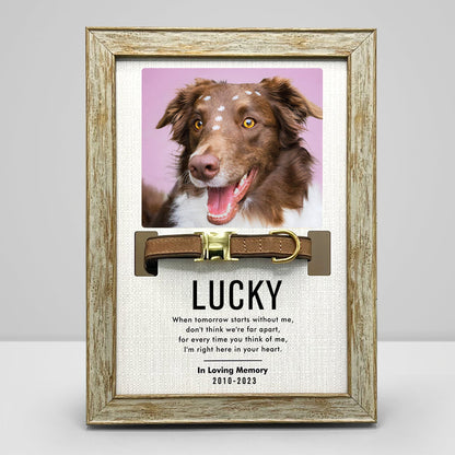 Custom Pet Collar Frame with Photo Dog Remembrance Picture Frame for Deceased Dog - OARSE