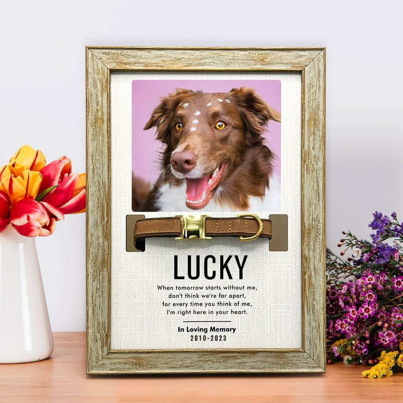 Custom Pet Collar Frame with Photo Dog Remembrance Picture Frame for Deceased Dog - OARSE