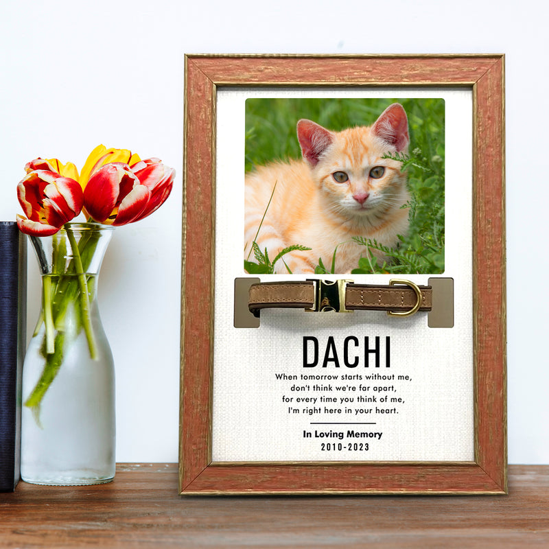 Custom Pet Collar Frame with Photo Dog Remembrance Picture Frame for Deceased Dog - OARSE
