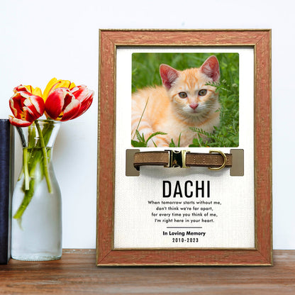 Custom Pet Collar Frame with Photo Dog Remembrance Picture Frame for Deceased Dog - OARSE