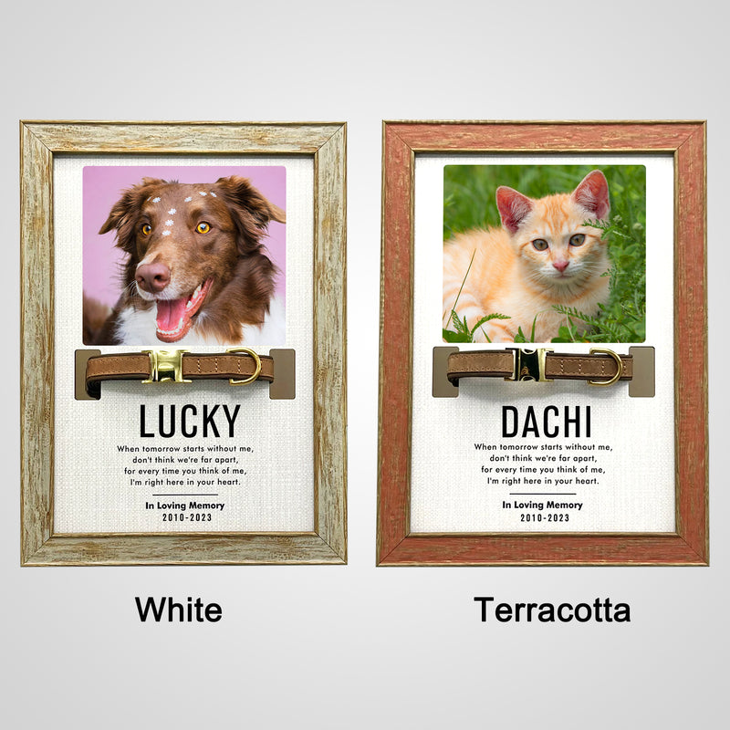 Custom Pet Collar Frame with Photo Dog Remembrance Picture Frame for Deceased Dog - OARSE