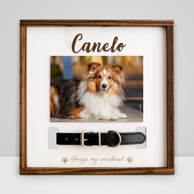 Custom Pet Collar Memorial Frame for Dog That Passed Away - OARSE
