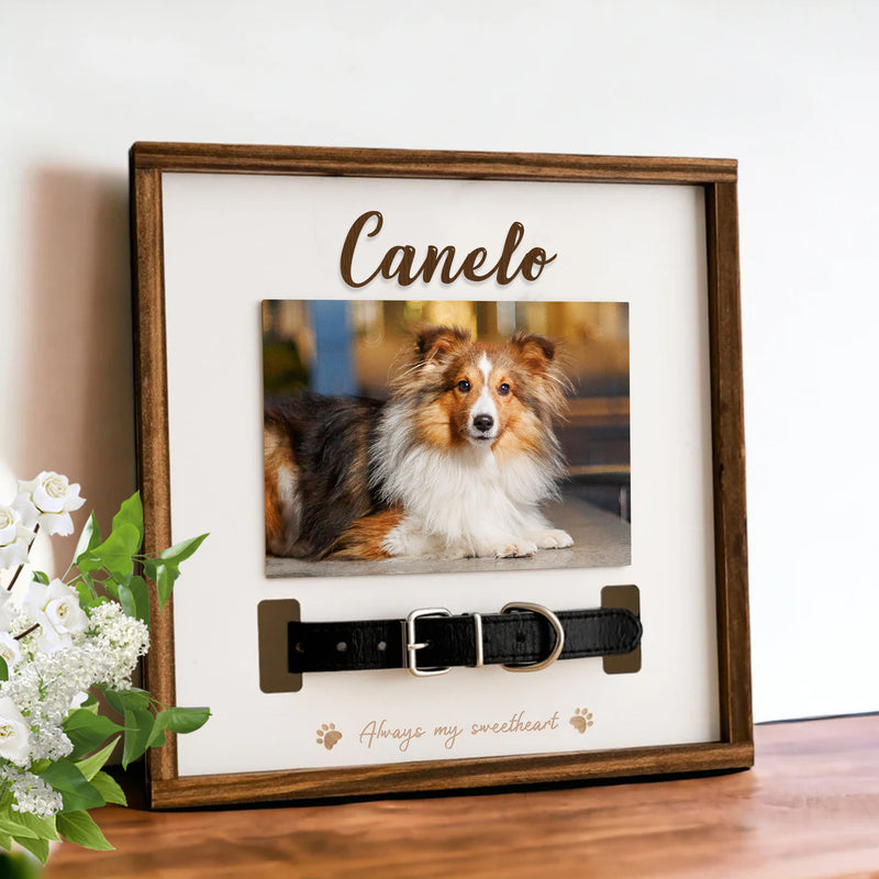 Custom Pet Collar Memorial Frame for Dog That Passed Away - OARSE