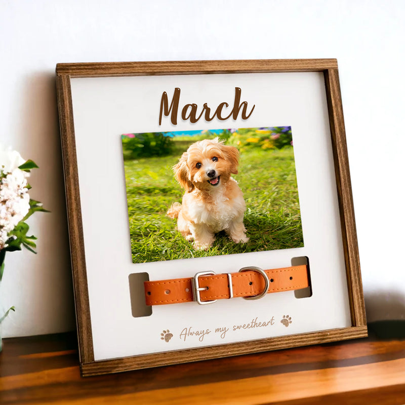 Custom Pet Collar Memorial Frame for Dog That Passed Away - OARSE