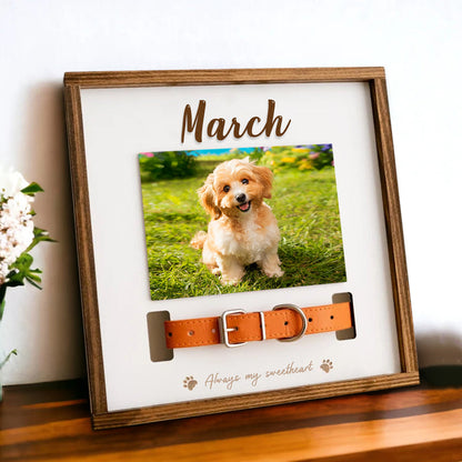 Custom Pet Collar Memorial Frame for Dog That Passed Away - OARSE