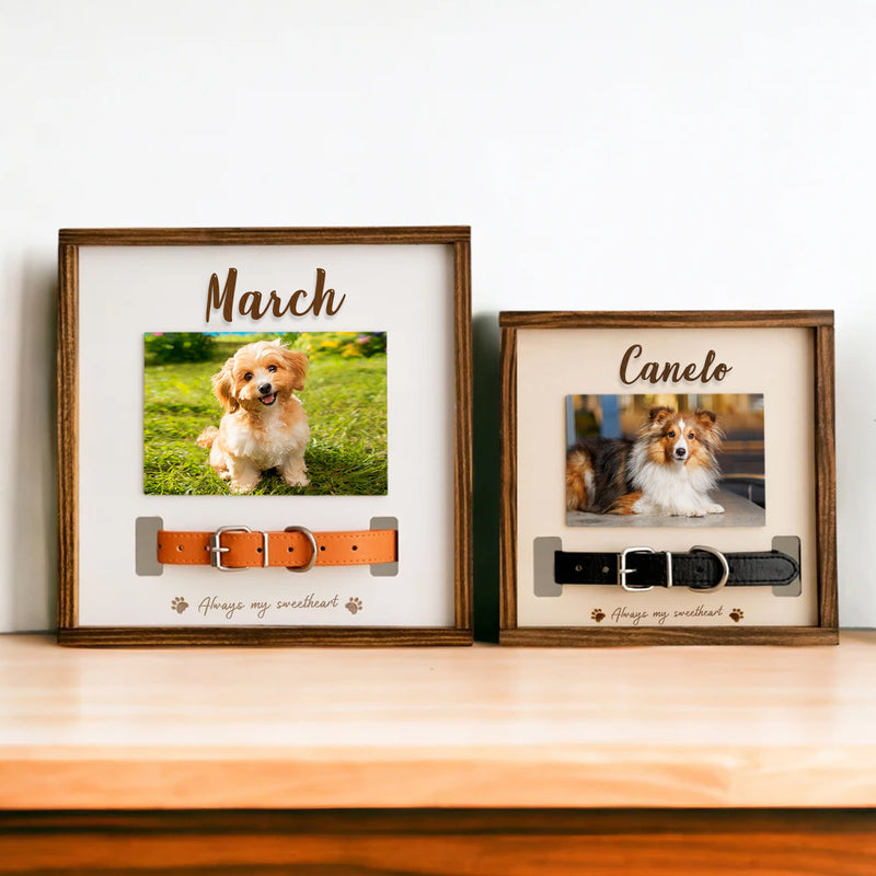 Custom Pet Collar Memorial Frame for Dog That Passed Away - OARSE