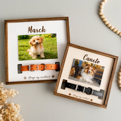 Custom Pet Collar Memorial Frame for Dog That Passed Away - OARSE