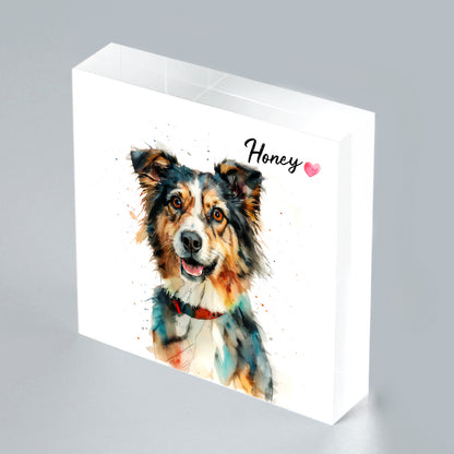 Custom Pet Photo Print on Acrylic Block - OARSE