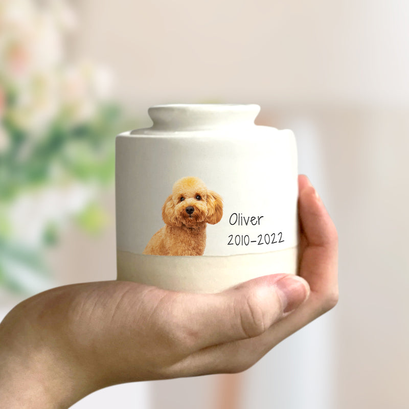 Custom Pet Photo Urn with Name Personalized Memorial Cremation Keepsakes for Dog,Cat - OARSE
