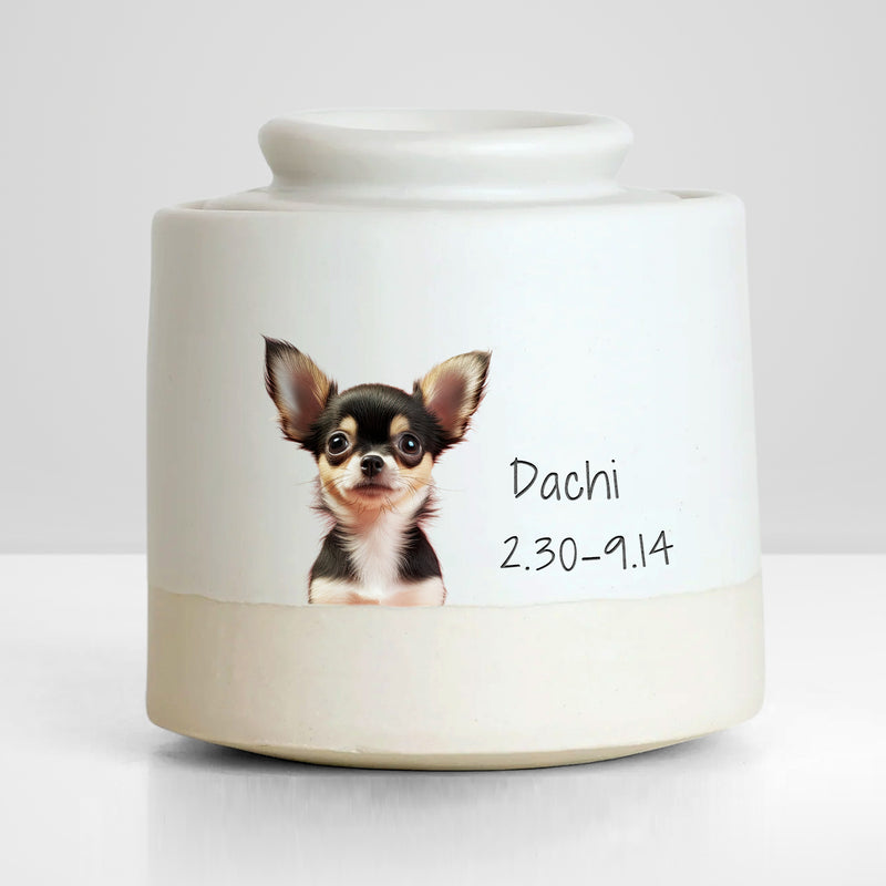 Custom Pet Photo Urn with Name Personalized Memorial Cremation Keepsakes for Dog,Cat - OARSE
