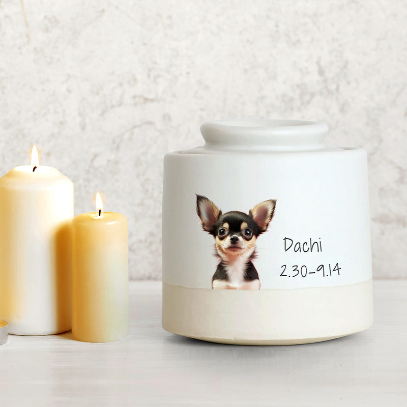 Custom Pet Photo Urn with Name Personalized Memorial Cremation Keepsakes for Dog,Cat - OARSE