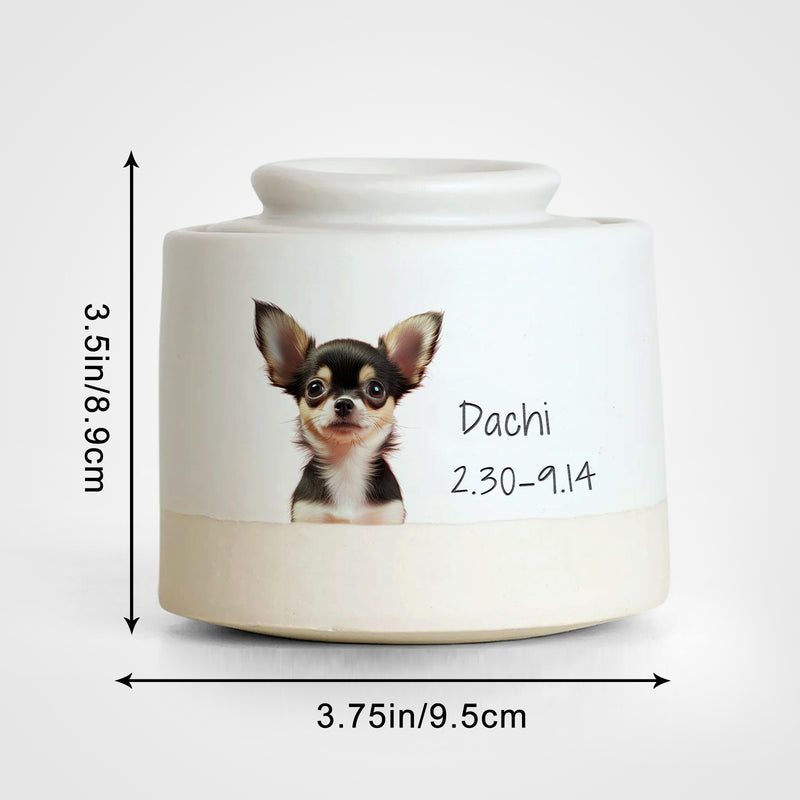 Custom Pet Photo Urn with Name Personalized Memorial Cremation Keepsakes for Dog,Cat - OARSE