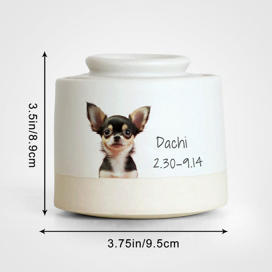Custom Pet Photo Urn with Name Personalized Memorial Cremation Keepsakes for Dog,Cat - OARSE
