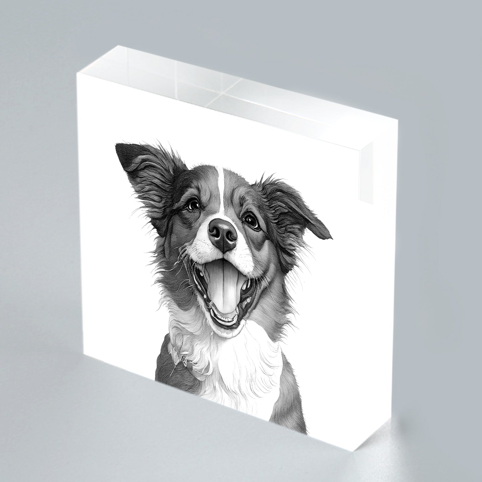 Custom Pet Portrait Acrylic Photo Block - OARSE