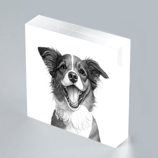 Custom Pet Portrait Acrylic Photo Block - OARSE