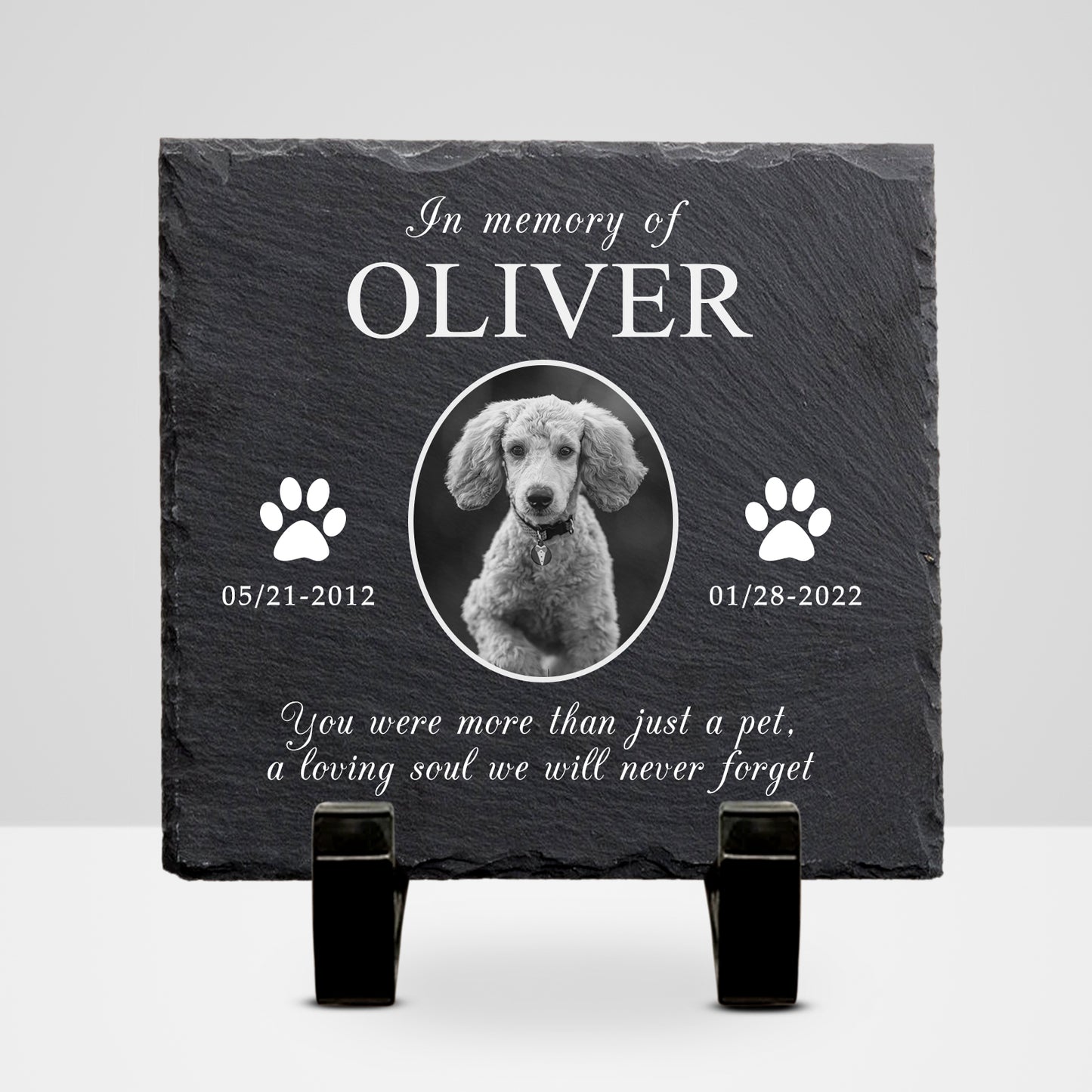 Custom Pet Remembrance Plaque with Photo For Deceased Dogs/Cats - OARSE